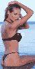 hk-l-032.gif (1658 bytes)