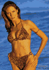 lepwebL1_icon.GIF (2926 bytes)