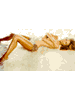 heidi_klum006_icon.GIF (1429 bytes)
