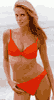 h2.gif (1899 bytes)