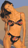 Newport06_icon.GIF (2590 bytes)